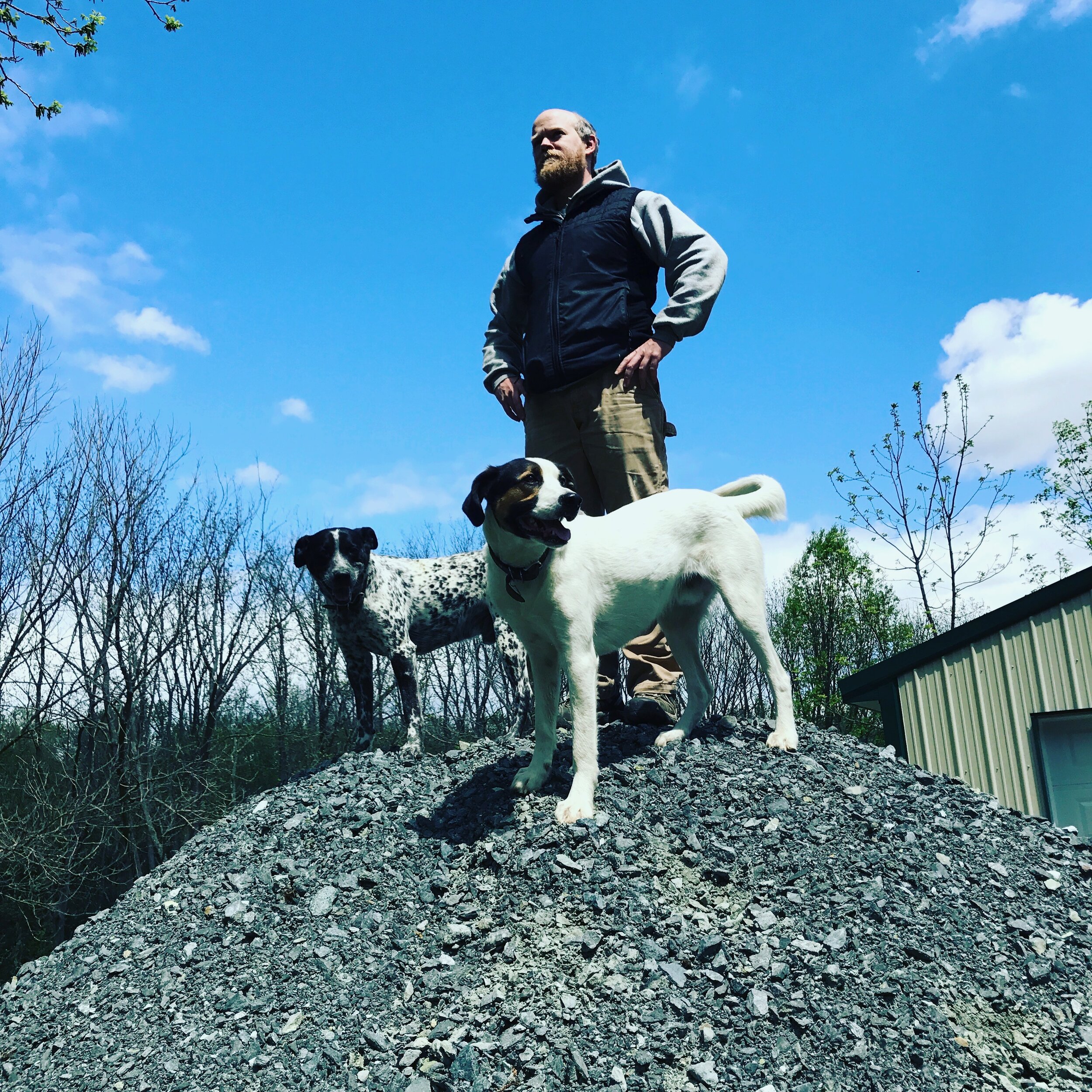 Liz+Balchin+-+IMG_4428 A man stands confidently on a pile of gravel with two dogs, a spotted black and white dog and a white dog with brown markings, against a clear blue sky and sparse trees in the background.