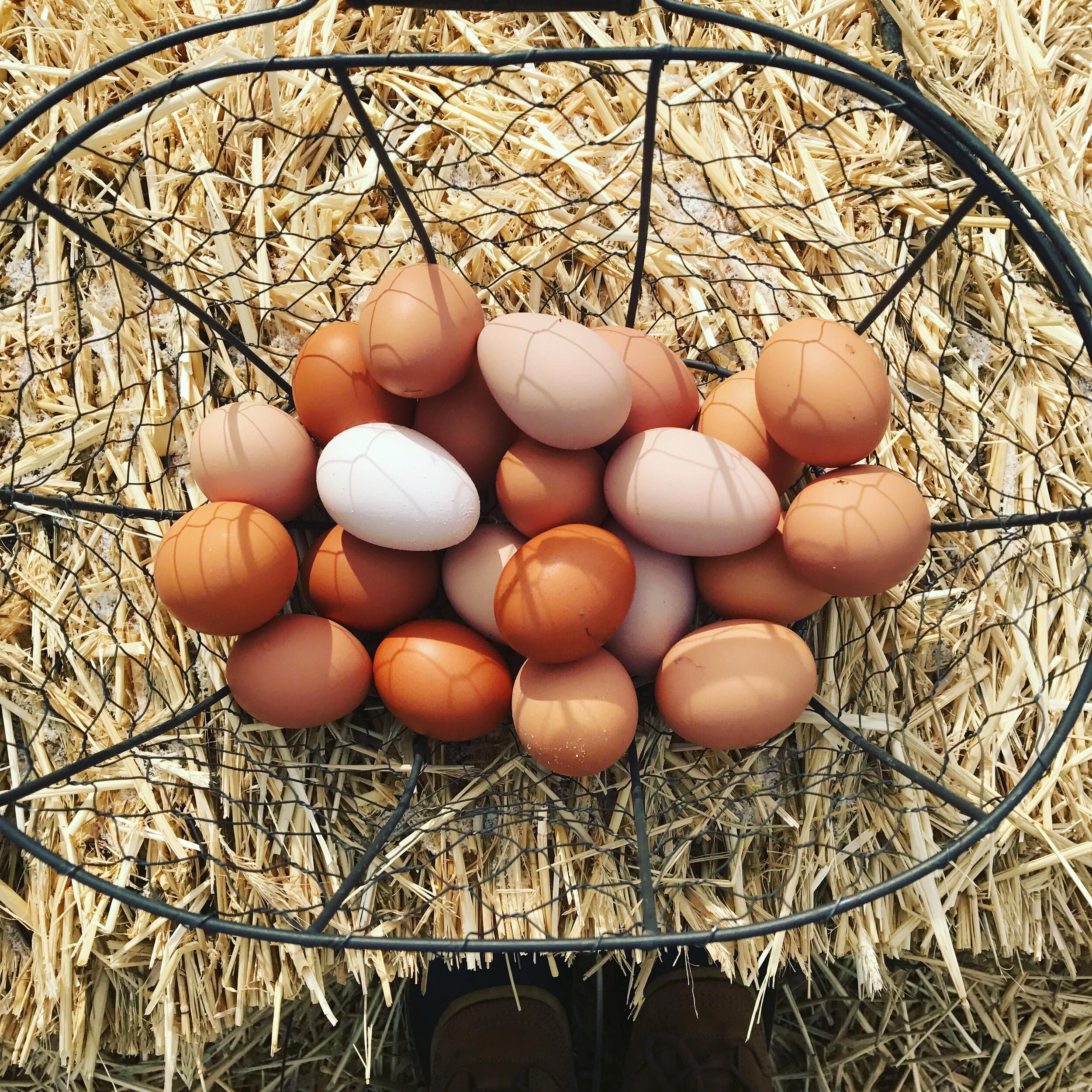 Basket filled with various eggs, including brown and white varieties, resting on straw. Ideal for farm-to-table cooking and showcasing fresh produce.
